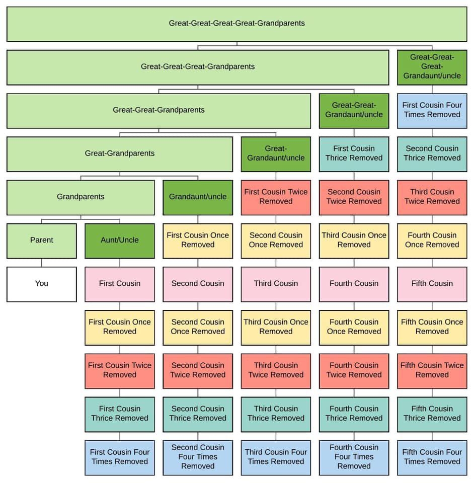 My Friend Made This Cousin Chart shared With Permission R coolguides
