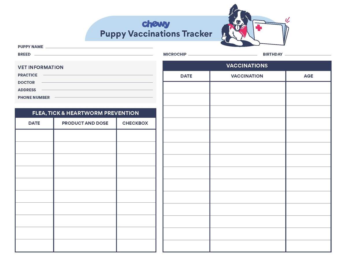 40 Printable Dog Puppy Vaccination Records TemplateArchive