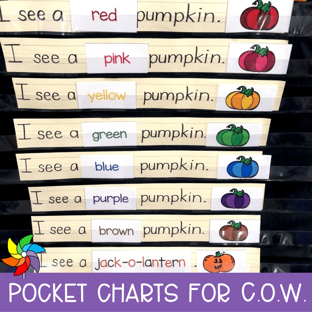 Visual Daily Schedule Set For Pocket Charts 60 Cards Analogue Digital Time Classful