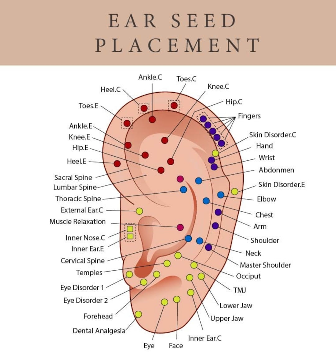 Printable Ear Seed Placement Chart Comprehensive Acupuncture Ear Chart Guide Ear Seeding Chart Helps Place Ear Seeds Cheat Sheet Etsy