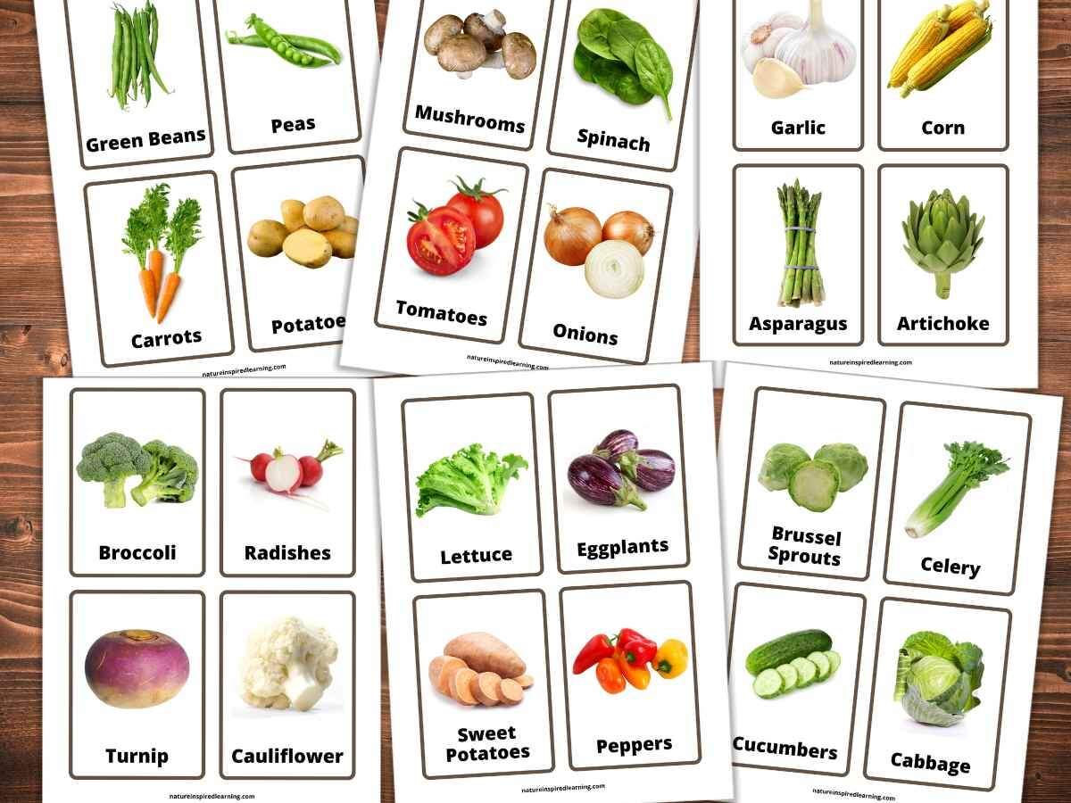 Printable Vegetable Flashcards Nature Inspired Learning