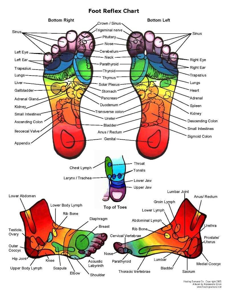Reflexology Foot Chart Reflex Zones Explained