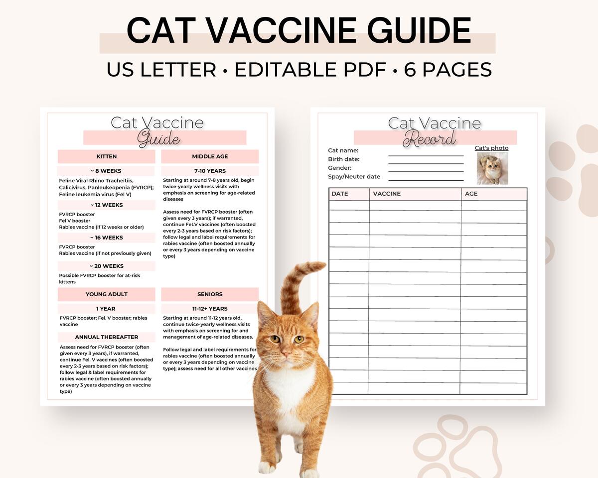 Schedule Kitten Jabs Buy Printable Cat Vaccine Health Record Pet Care Record Book Schedule Kitten Jabs Buy Printable Cat Vaccine Health Record Pet Care Record Book