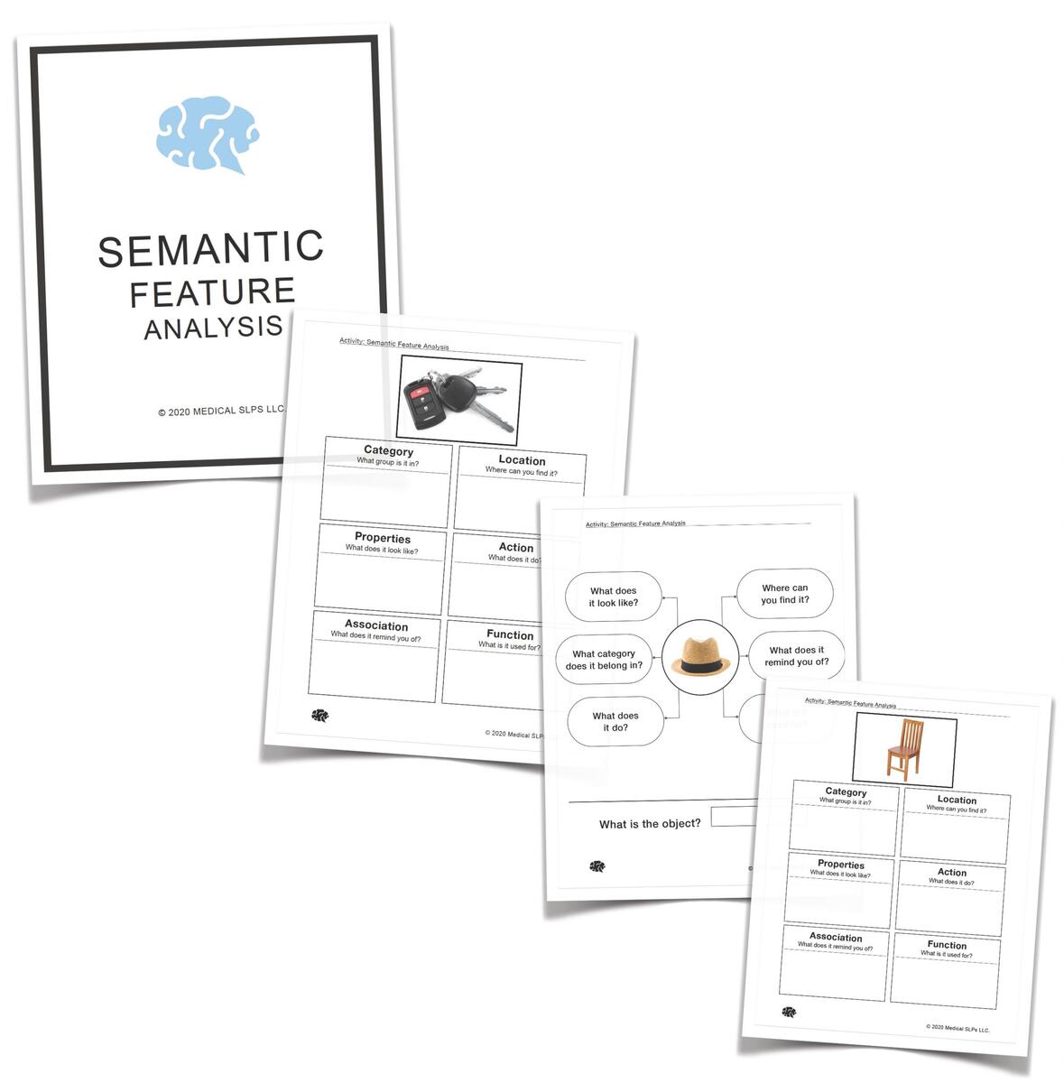Semantic Feature Analysis Sample Medical SLPs