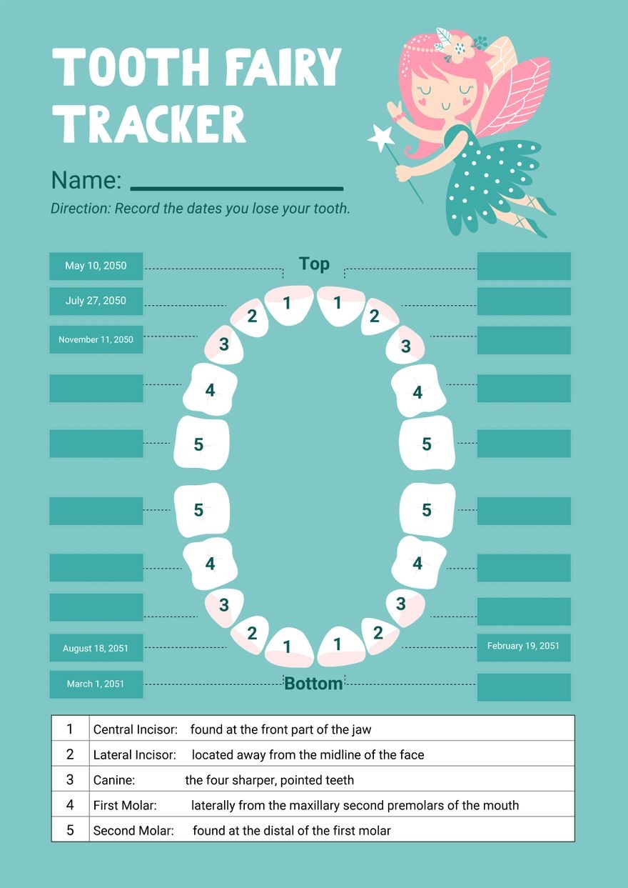Tooth Fairy Chart In Illustrator PDF Download Template