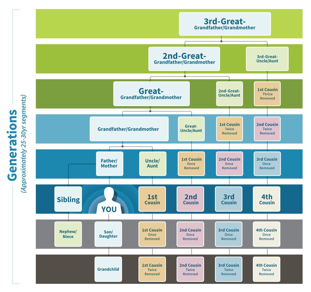 Genealogy Tools Relationship Chart