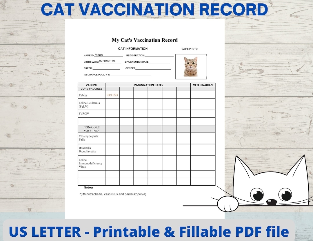 Vaccine Schedule Cat Second Vaccination Cat Vaccination Record Cat Health Record Cat Shot Record Pet Schedule Kitten Jabs Buy Printable Cat Vaccine Health Record Pet Care Record Book