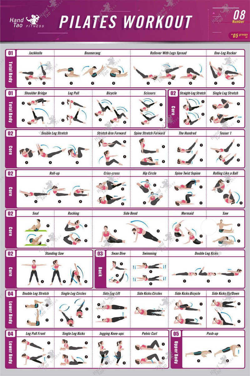 Wall Chart Intermediate Reformer Workout Pdf Free STOTT PILATES Wall Chart Intermediate Matwork Wall